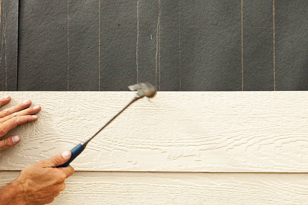 Best Historical Building Siding Restoration  in Herrin, IL