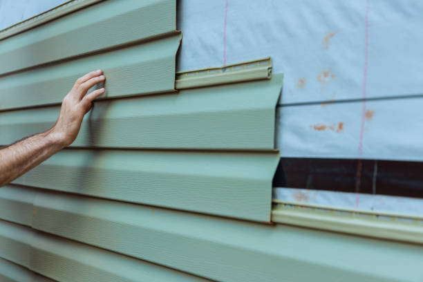 Affordable Siding Repair and Maintenance Services in Herrin, IL
